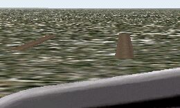 Two Airfields in One!